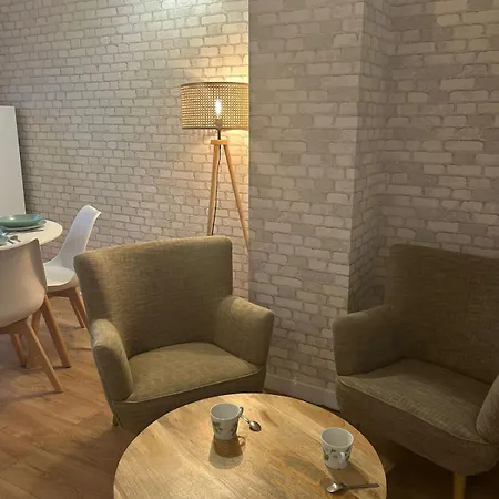 Apartment Angevin Avec Terrasse Et Wifi Rapide Angers