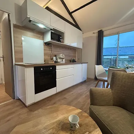 Angevin Avec Terrasse Et Wifi Rapide Apartment *